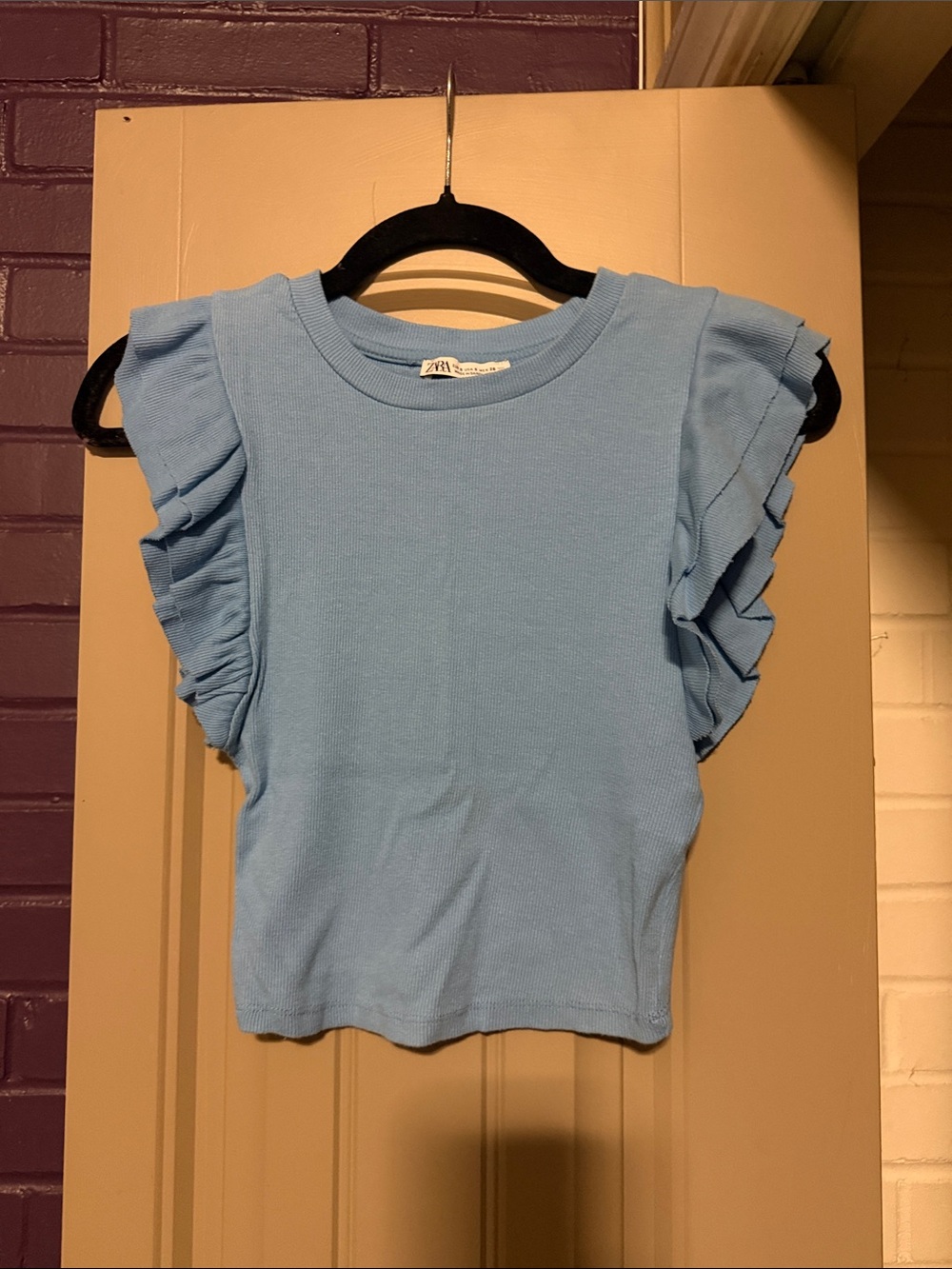 Zara Sky Blue Ruffle Sleeve Crop Top